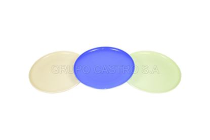 Foto de PLATO PACHO GRANDE 9.5"  03046 TACOPLAST