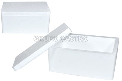 Foto de HIELERA RECT CAJA  4.2 LITROS 6 LBS 31X20CMS POLISA ESTEREOFON