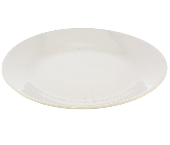 Foto de PLATO PORCELANA REDONDO PLANO BLANCO 9"705-2109F(48)