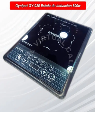 Foto de PLANTILLA INDUCCION PANEL GY-025 GYNIPOT
