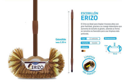 Foto de ESCOBILLON ERIZO  31X6CMS MANGO EXTENDIBLE 220CMS BALD007 (12) PROLIMSO