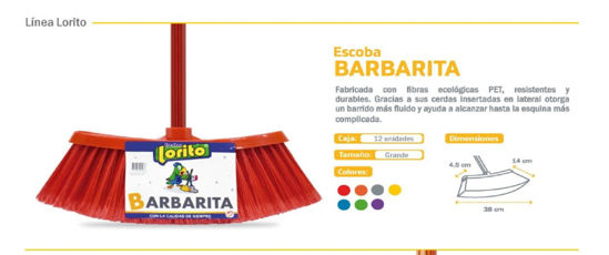 Foto de ESCOBA BARBARITA ESC004 LORITO 38X14X4.5CMS (12)