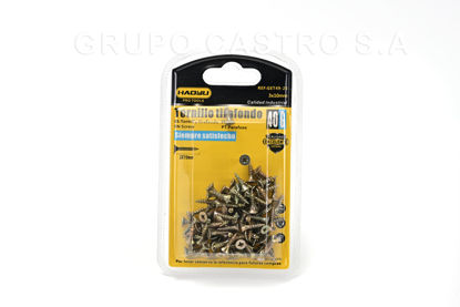 Foto de Tornillo Tirafondo 3x10mm (0.39"x7/64") 40 grs Blister HAOYLI GET49-25 (240)