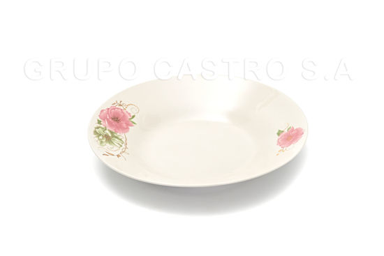 Foto de Plato porcelana hondo decorado 8" GET21-01 (72)