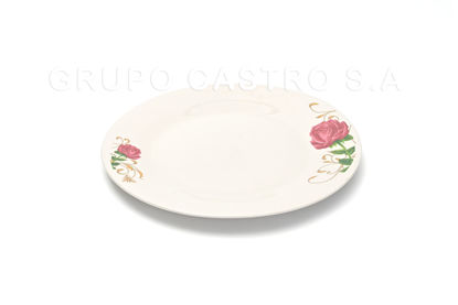 Foto de Plato porcelana plano decorado 9" GET21-04 (48)