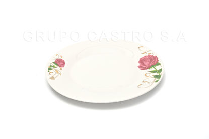 Foto de Plato porcelana plano decorado 8" GET21-03 (72)