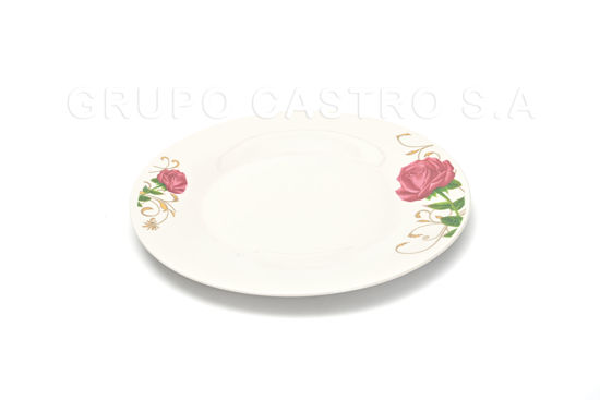 Foto de Plato porcelana plano decorado 8" GET21-03 (72)