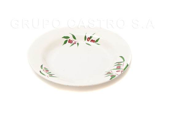 Foto de Plato Hondo Dec. Melamina 10'' GET29-20 (120)