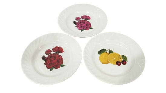 Foto de PLATO HONDO 8.5" 22cms MELAMINE DECORADO LABRADO-UM-BP-SB-SF 030-01.01BP