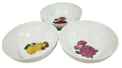 Foto de DULCERA BOWL DECORADA MELAMINA 22.5X7.5CMS UM-BP-CB-CF A01-225.07BP