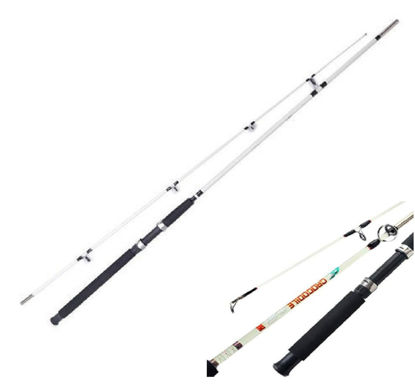 Foto de Caña Pesca 1.80 mtrs CROCODILE180 MBC26013 100-250g (30)