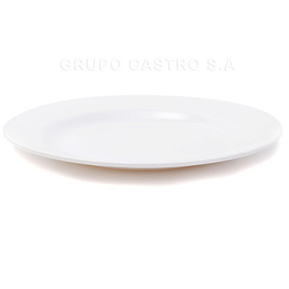 Foto de Plato Plano Melamina Blanco 10"/25cms 2235B-10 GET29-16 (120)