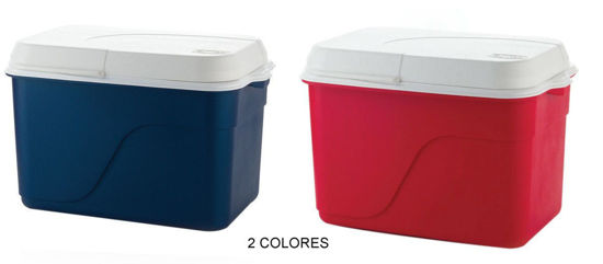 Foto de Hielera rect 42 lt  (nevera) 41LX60ANX39AL P3817g estra 65latas