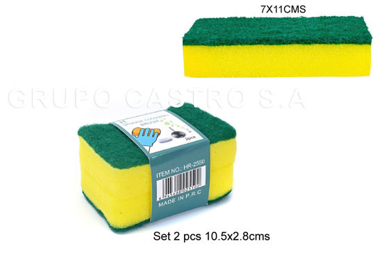 Foto de Esponja Verde bicolor